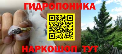 прущие грибы Жуковский
