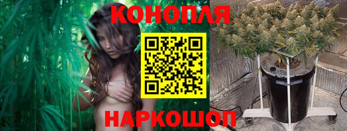 Канабис ГИДРОПОН  Вход с VPN  Шишки марихуана Ganja  Дивногорск  Конопля индика 